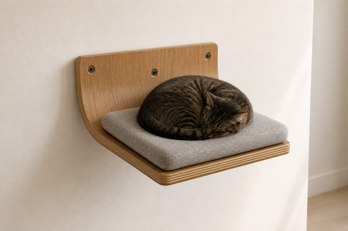 Schlafende Katze auf dem wandmontierten Liegeplatz Perch mit grauem Kissen